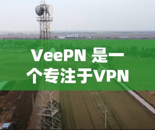 VeePN 是一个专注于VPN性能测试和评估的工具，用于帮助用户了解其网络速度、延迟、连接稳定性等关键性能指标。以下是关于 VeePN 的速度测试和VPN性能综合评估的一些信息和步骤