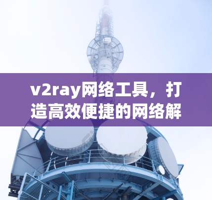 v2ray网络工具，打造高效便捷的网络解决方案