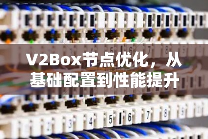 V2Box节点优化，从基础配置到性能提升