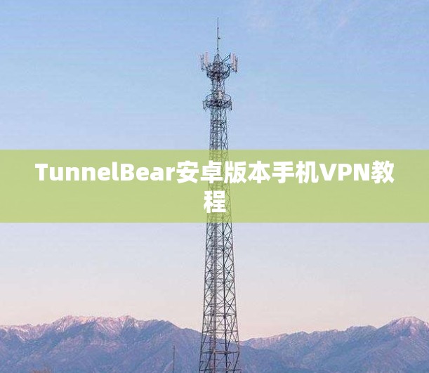 TunnelBear安卓版本手机VPN教程