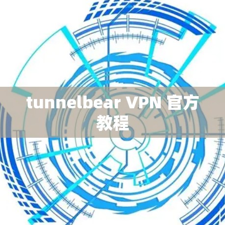 tunnelbear VPN 官方教程