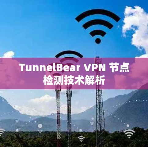 TunnelBear VPN 节点检测技术解析