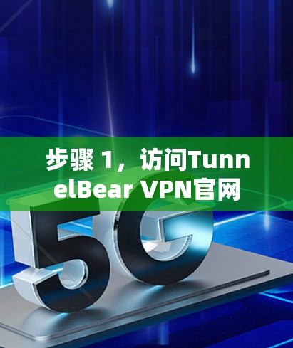 步骤 1，访问TunnelBear VPN官网