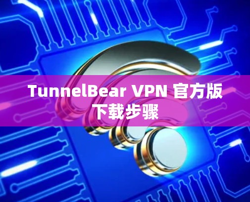 TunnelBear VPN 官方版下载步骤