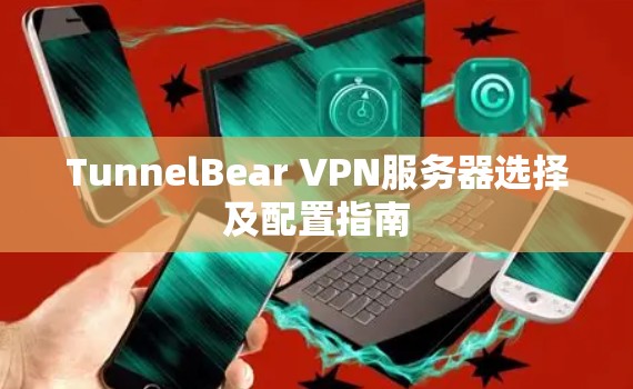 TunnelBear VPN服务器选择及配置指南