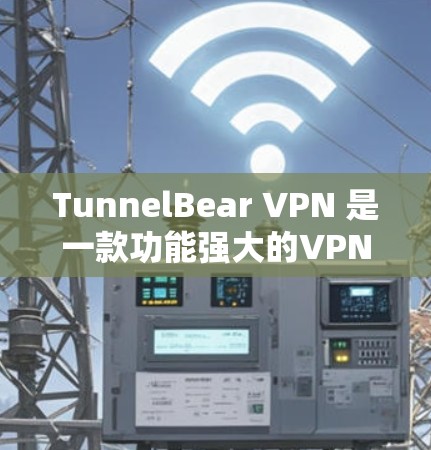 TunnelBear VPN 是一款功能强大的VPN软件，适合需要多端口连接和复杂设置的用户。以下是使用 TunnelBear VPN 的步骤和注意事项