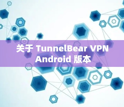关于 TunnelBear VPN Android 版本