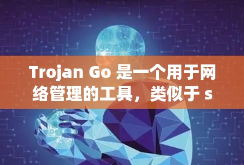 Trojan Go 是一个用于网络管理的工具，类似于 sudo，但更方便。它支持通过命令行或脚本进行配置。以下是一些基本的配置步骤和命令，帮助你使用Trojan Go