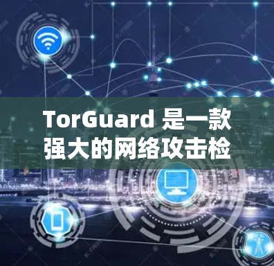 TorGuard 是一款强大的网络攻击检测和防御工具，旨在帮助用户保护网络环境免受恶意攻击。为了全面评估 TorGuard 的性能，我们可以从以下几个方面进行测试