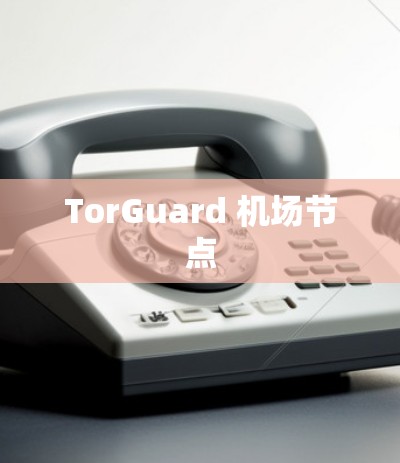 TorGuard 机场节点