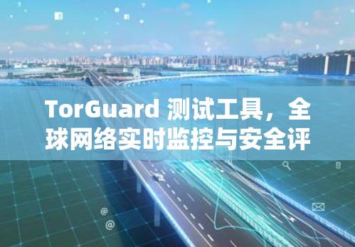 TorGuard 测试工具，全球网络实时监控与安全评估