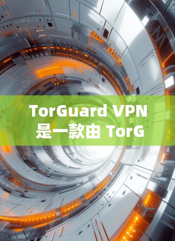 TorGuard VPN 是一款由 TorGuard 开发的VPN软件，旨在满足用户在安全、速度和用户体验方面的需求。以下是 TorGuard VPN 用户的一些真实评价