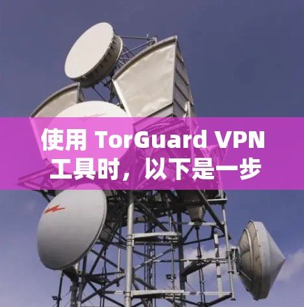 使用 TorGuard VPN 工具时，以下是一步步的操作指南