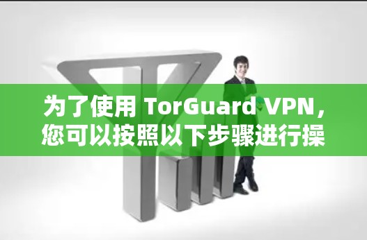 为了使用 TorGuard VPN，您可以按照以下步骤进行操作