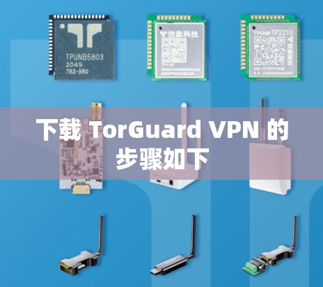 下载 TorGuard VPN 的步骤如下