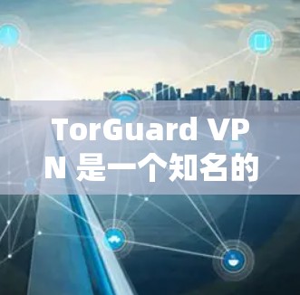 TorGuard VPN 是一个知名的无品牌化、无网络访问的VPN工具，主要专注于提供安全、便捷的网络连接。如果你对 TorGuard 感兴趣，以下是一些关于如何下载和安装它的步骤