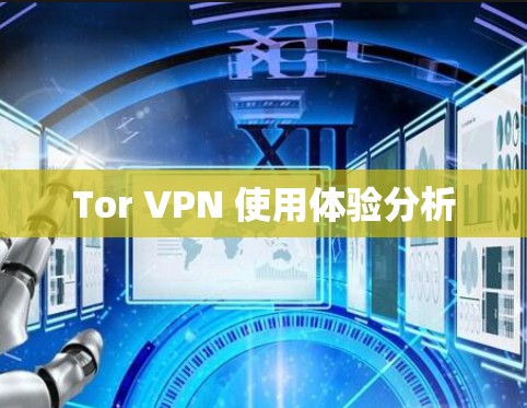 Tor VPN 使用体验分析