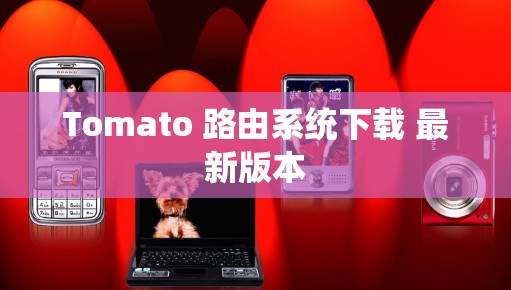 Tomato 路由系统下载 最新版本