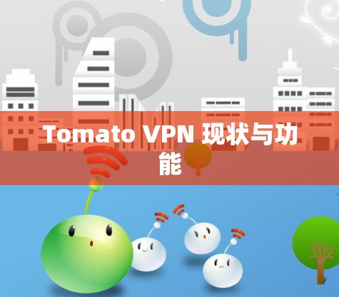 Tomato VPN 现状与功能