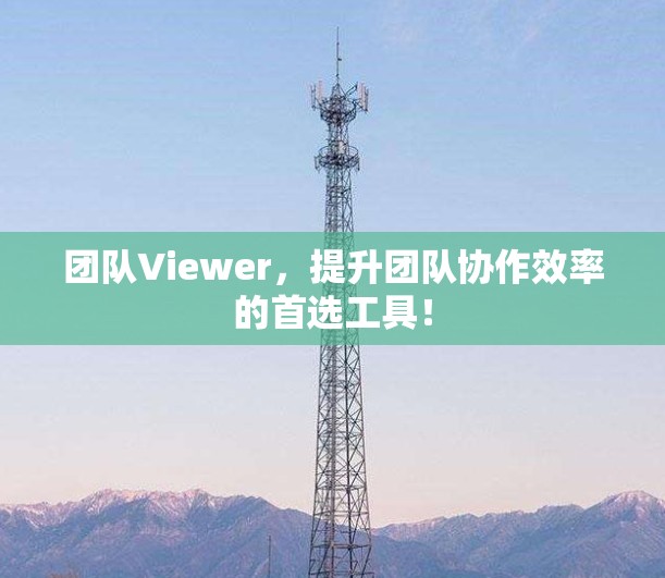 团队Viewer，提升团队协作效率的首选工具！