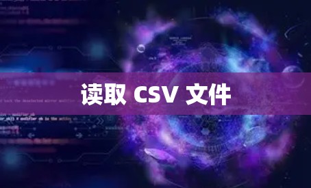 读取 CSV 文件