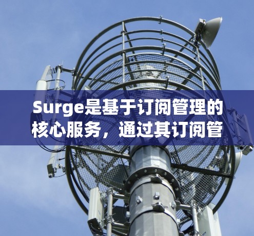 Surge是基于订阅管理的核心服务，通过其订阅管理功能提供了多种方法来管理订阅数据，包括订阅管理、自动回复、积分奖励、私密群管理、广告管理等。以下是Surge订阅管理的主要功能概述