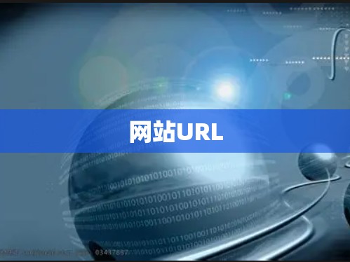 网站URL