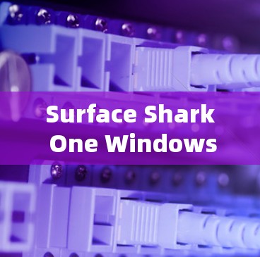 Surface Shark One Windows版是一个功能强大的工具，适合查看和管理多种网络服务。以下是详细的使用指南