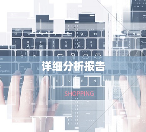 详细分析报告