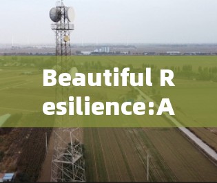 Beautiful Resilience:A Code Story Beautiful Resilience:A Code Story