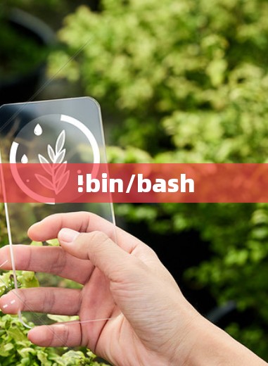 !bin/bash !bin/bash