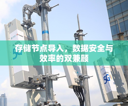 存储节点导入，数据安全与效率的双兼顾