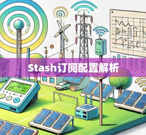 Stash订阅配置解析 Stash订阅配置解析