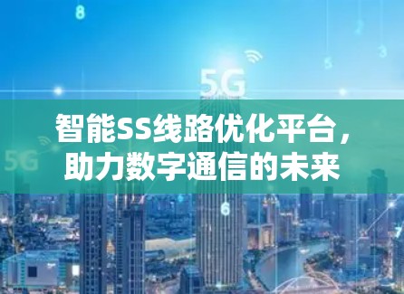智能SS线路优化平台，助力数字通信的未来