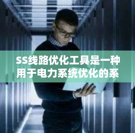 SS线路优化工具是一种用于电力系统优化的系统，旨在通过数据分析和优化算法来提高系统的可靠性和效率。以下是其关键功能和使用步骤的详细说明