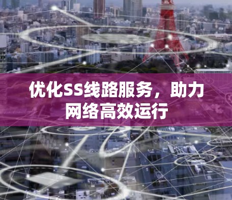 优化SS线路服务，助力网络高效运行