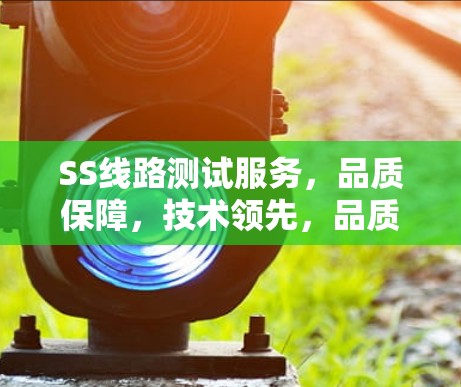 SS线路测试服务,品质保障,技术领先,品质服务 SS线路测试服务,品质保障,技术领先,品质服务