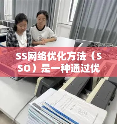 SS网络优化方法(SSO)是一种通过优化服务之间的交互,提升用户体验的技术,广泛应用于云服务、移动应用和企业应用等领域。以下是SSO的主要方法和步骤 SS网络优化方法(SSO)是一种通过优化服务之间的交互,提升用户体验的技术,广泛应用于云服务、移动应用和企业应用等领域。以下是SSO的主要方法和步骤
