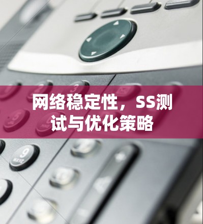 网络稳定性,SS测试与优化策略 网络稳定性,SS测试与优化策略