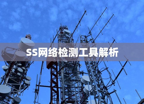 SS网络检测工具解析 SS网络检测工具解析