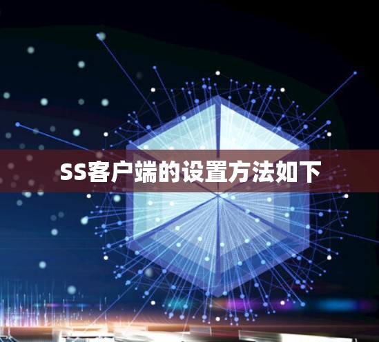 SS客户端的设置方法如下 SS客户端的设置方法如下