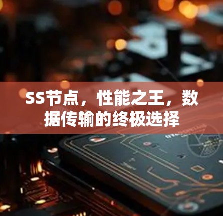 SS节点,性能之王,数据传输的终极选择 SS节点,性能之王,数据传输的终极选择