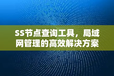 SS节点查询工具，局域网管理的高效解决方案