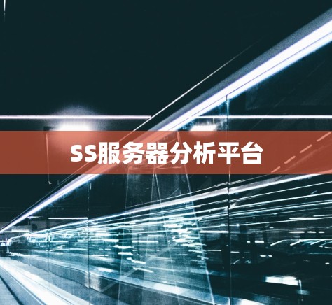SS服务器分析平台