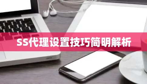 SS代理设置技巧简明解析 SS代理设置技巧简明解析