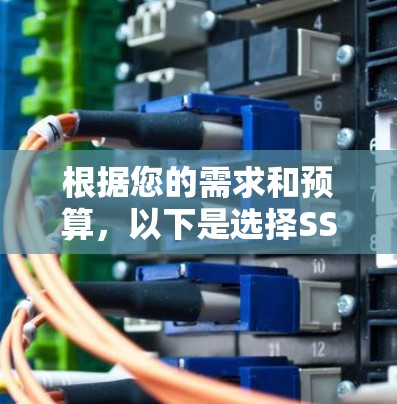 根据您的需求和预算,以下是选择SS代理软件的建议 根据您的需求和预算,以下是选择SS代理软件的建议