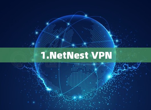 1.NetNest VPN
