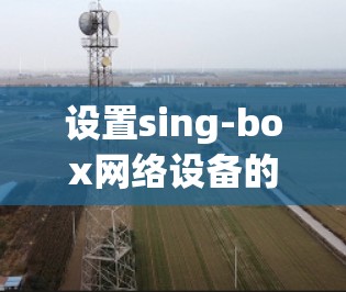 设置sing-box网络设备的步骤如下 设置sing-box网络设备的步骤如下
