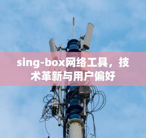 sing-box网络工具，技术革新与用户偏好