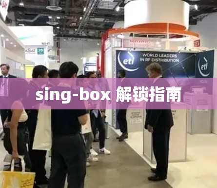 sing-box 解锁指南 sing-box 解锁指南